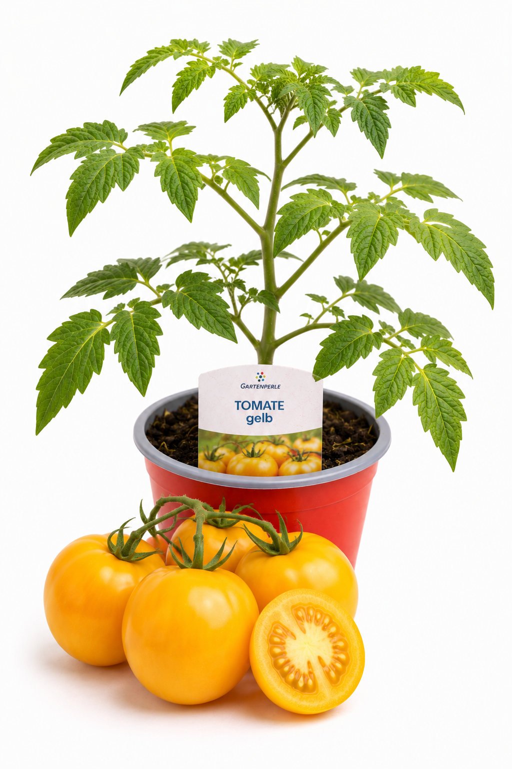 Tomate Gelb - Salattomate