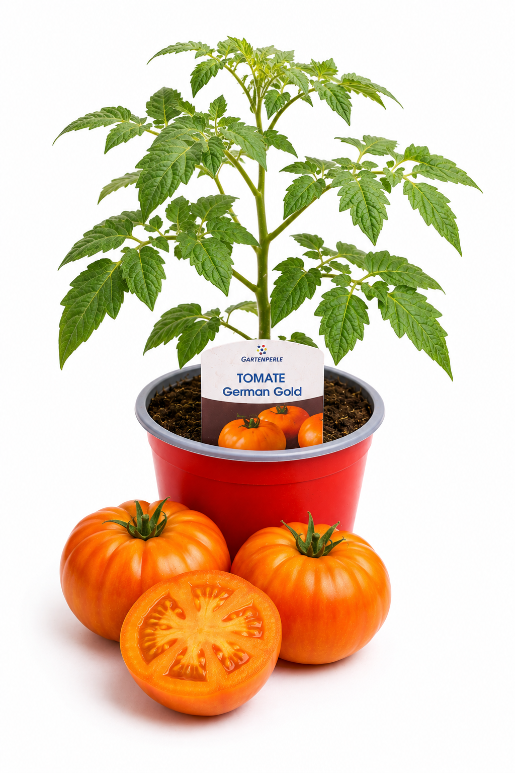 Tomate German Gold - Fleischtomate