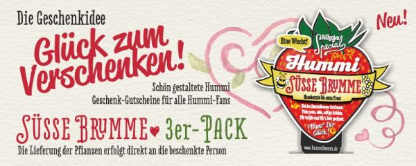 Geschenk-Gutschein · Süße Brumme · 3er-Pack