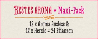 BESTES AROMA · Maxi Pack