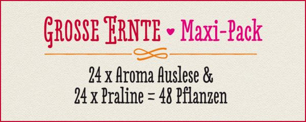 GROSSE ERNTE · Maxi-Pack