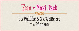 FEEN · Maxi Pack
