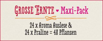 GROSSE ERNTE · Maxi Pack