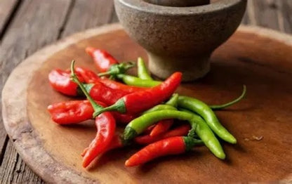 Thai Chili Kolibri – Chilipflanze