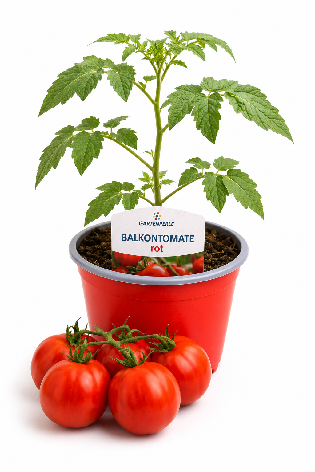 Balkontomate - Balkontomate