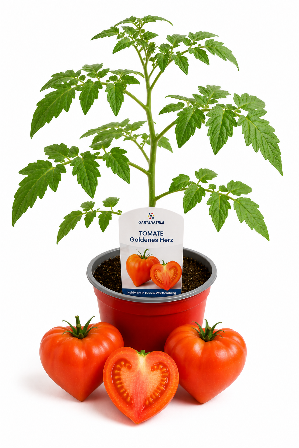Tomate Goldenes Herz - Fleischtomate